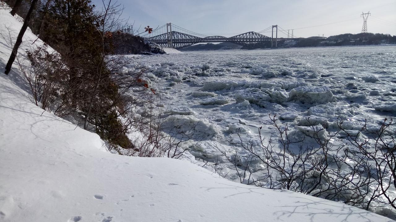 Gite Au Gre Du Vent Québec Exteriör bild